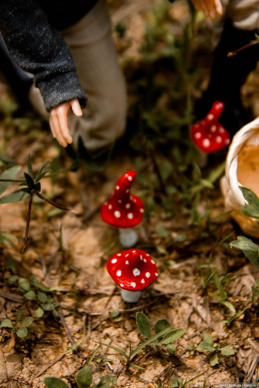 Кривые мухоморы | Бэйбики Кривые мухоморы — Болталка и разговоры обо всем: жизнь (фото 5)