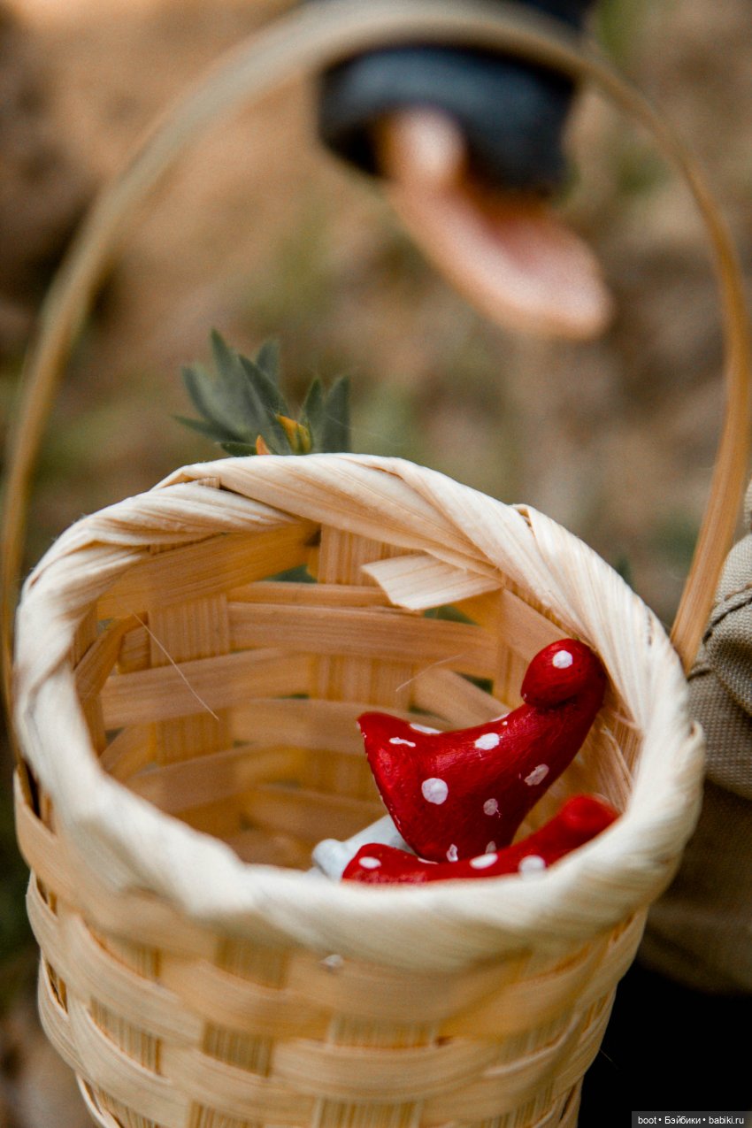 Кривые мухоморы | Бэйбики Кривые мухоморы — Болталка и разговоры обо всем: жизнь