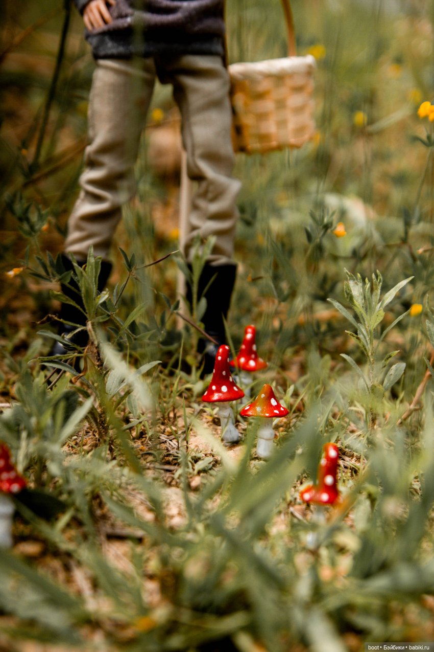 Кривые мухоморы | Бэйбики Кривые мухоморы — Болталка и разговоры обо всем: жизнь (фото 2)