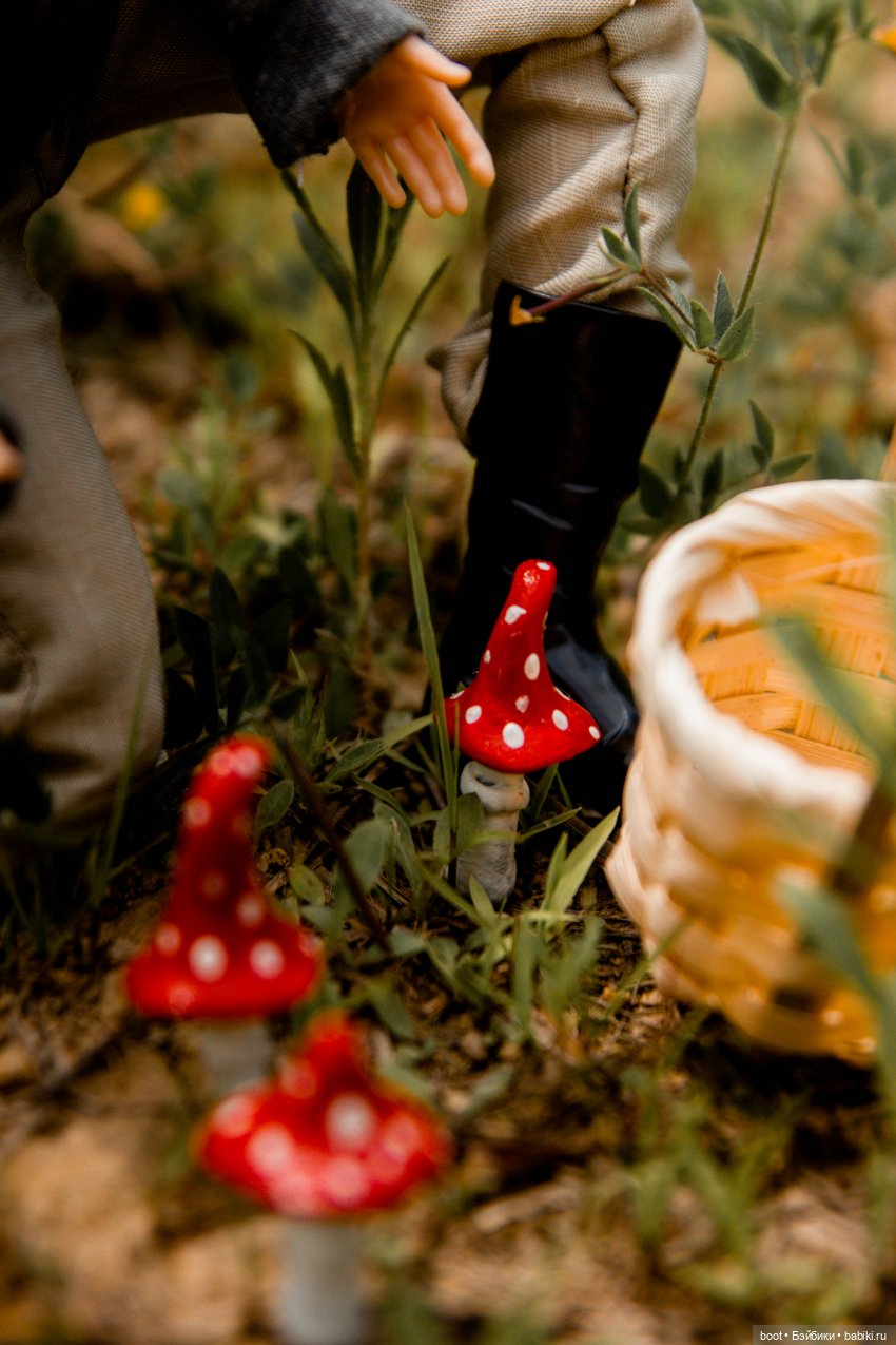 Кривые мухоморы | Бэйбики Кривые мухоморы — Болталка и разговоры обо всем: жизнь (фото 6)