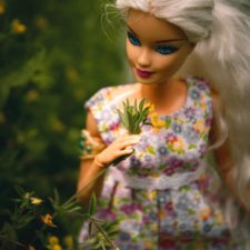 В плену лета