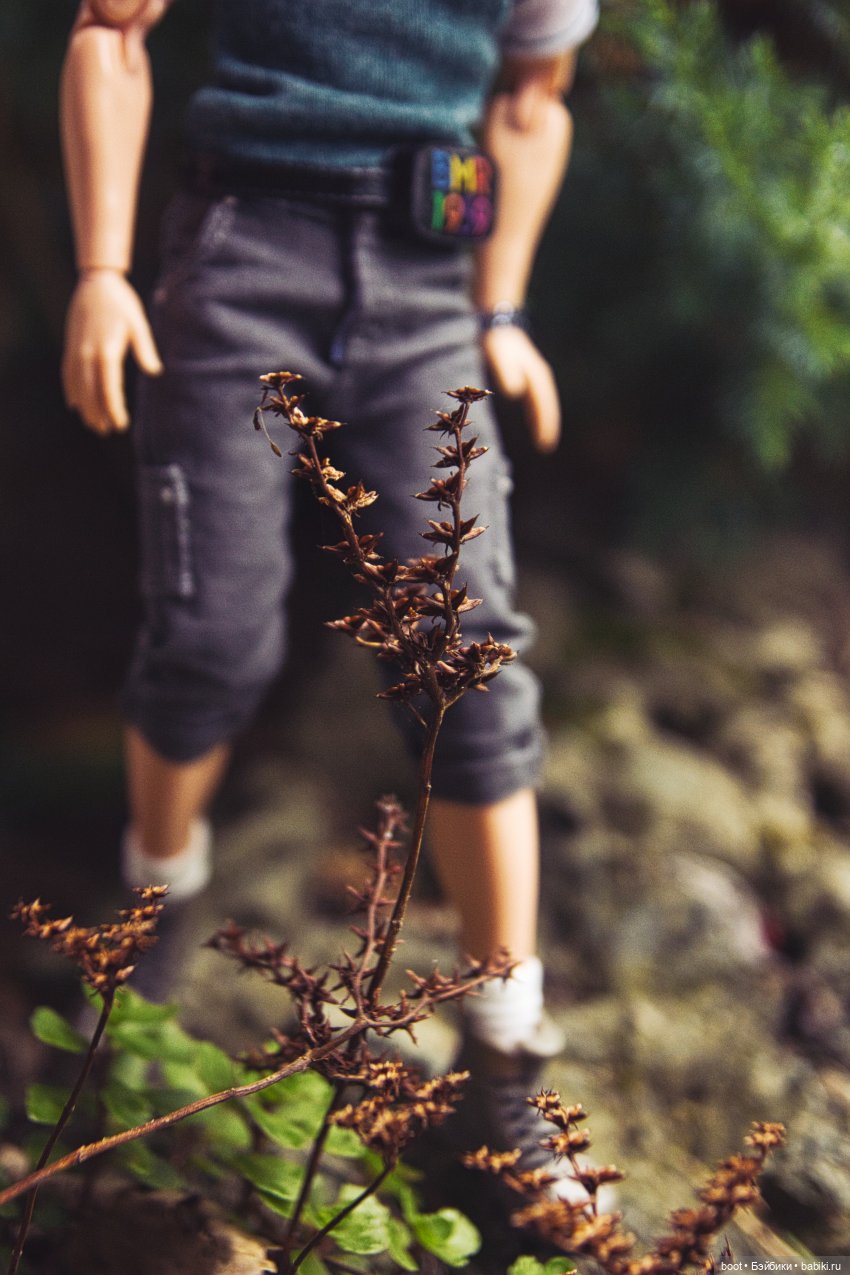 После лета — Болталка и разговоры обо всем: жизнь (фото 6)