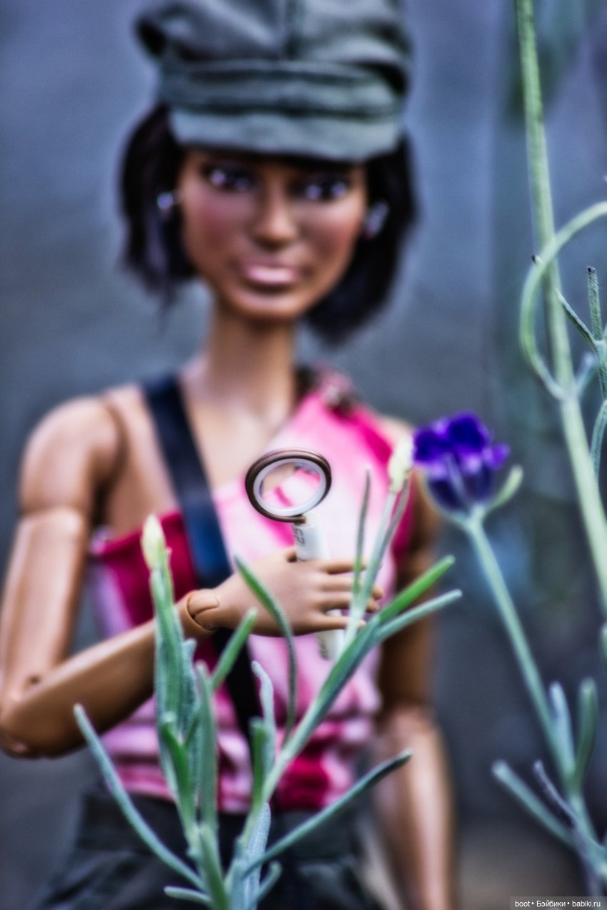 Кепка, лупа и лаванда — Болталка и разговоры обо всем: жизнь (фото 4)