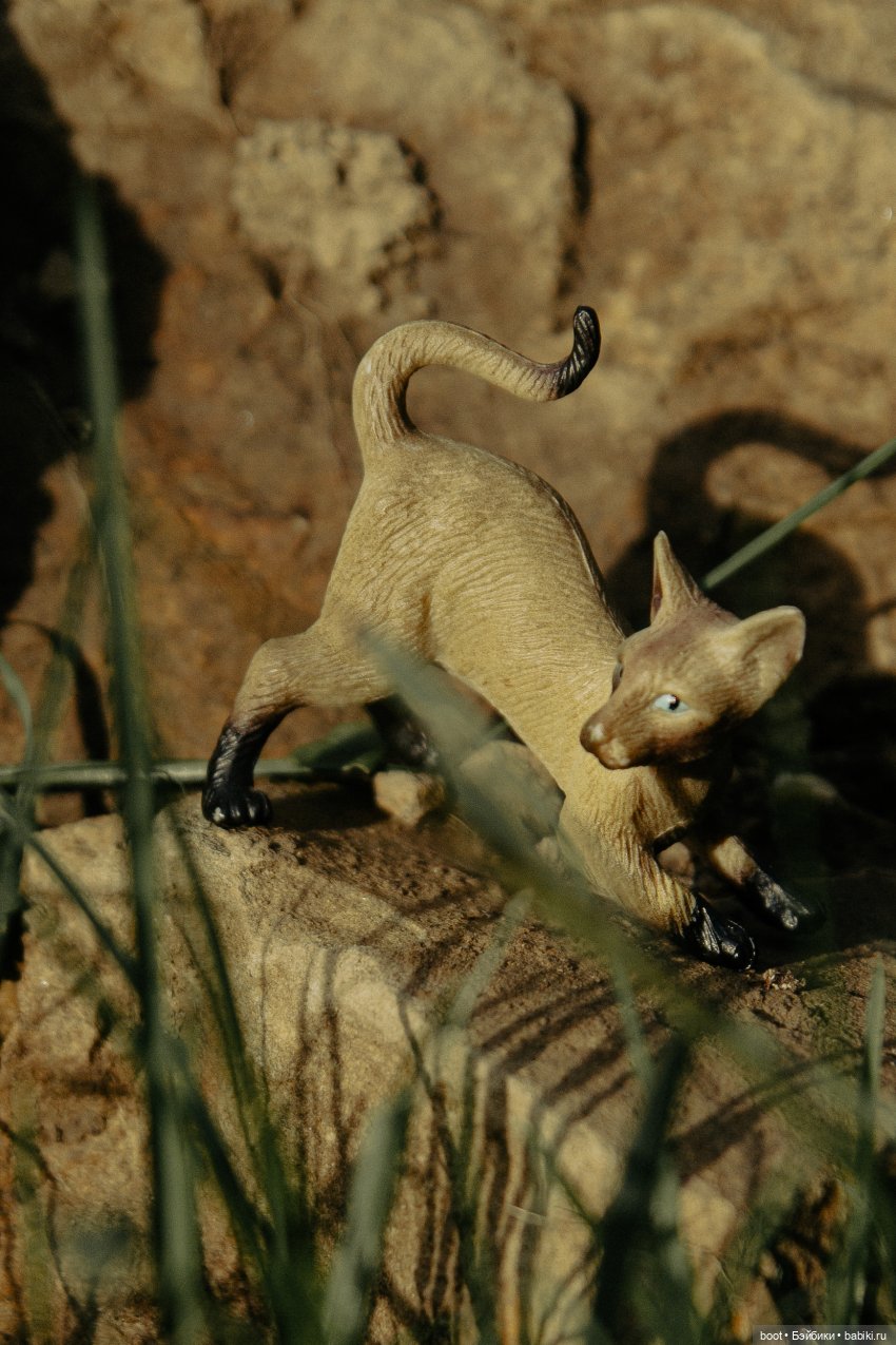 Марьянчик — Болталка и разговоры обо всем: жизнь (фото 4)