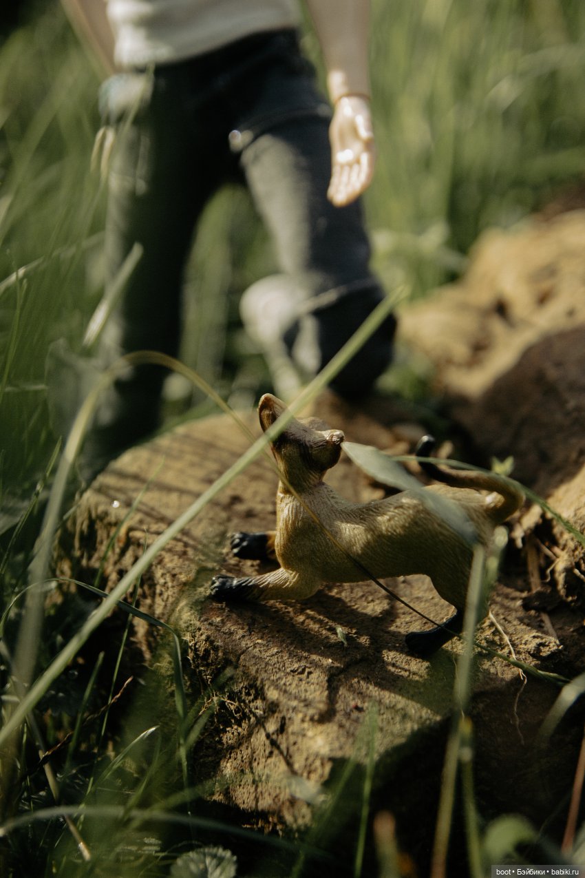 Марьянчик — Болталка и разговоры обо всем: жизнь (фото 7)