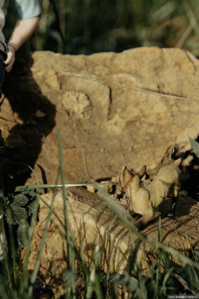 Марьянчик — Болталка и разговоры обо всем: жизнь (фото 2)