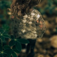 Пиндершлосс, люпины и лейка