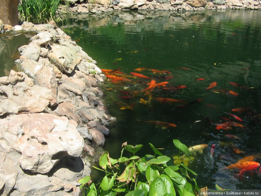 Приглашение в сказку ИЛИ чудесная прогулка Сонечки (фото 4)