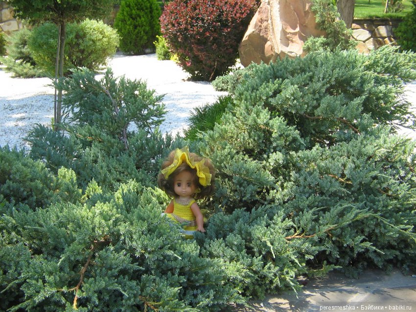 Приглашение в сказку ИЛИ чудесная прогулка Сонечки (фото 8)
