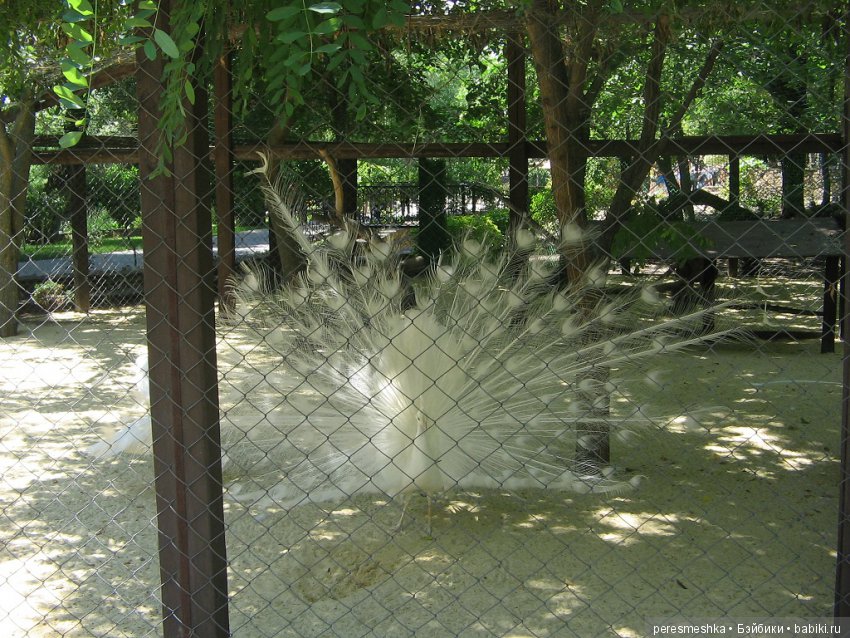 Приглашение в сказку ИЛИ чудесная прогулка Сонечки