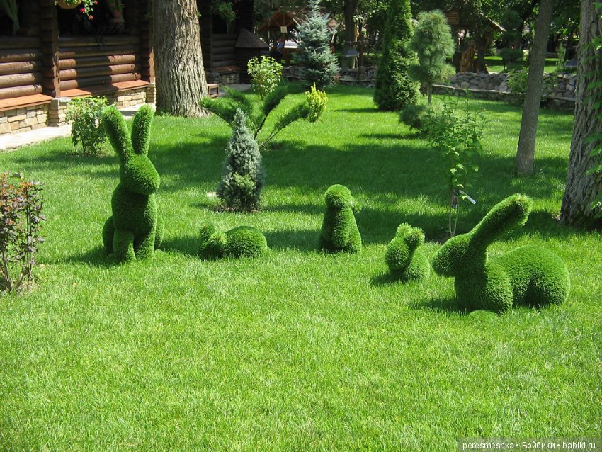 Приглашение в сказку ИЛИ чудесная прогулка Сонечки