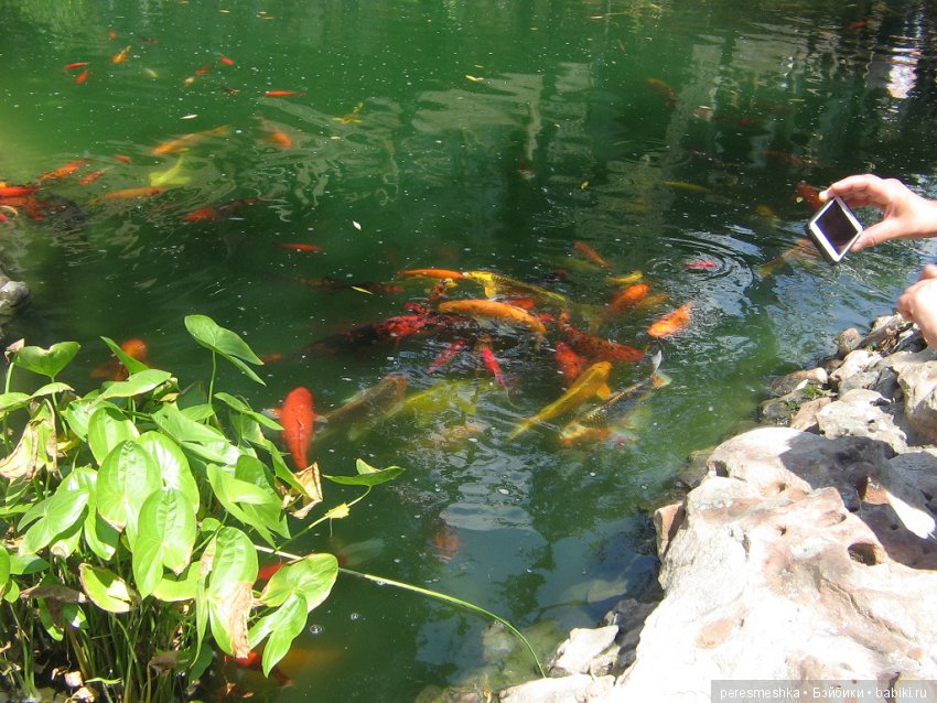 Приглашение в сказку ИЛИ чудесная прогулка Сонечки (фото 3)