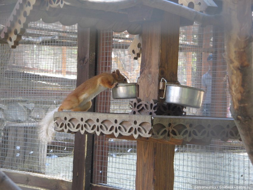 Приглашение в сказку ИЛИ чудесная прогулка Сонечки