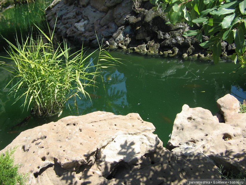 Приглашение в сказку ИЛИ чудесная прогулка Сонечки (фото 5)