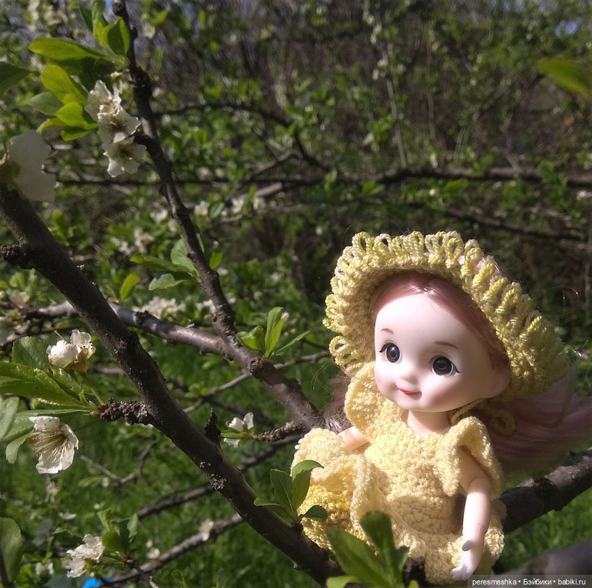 Мир, труд, май! К шашлыкам готовы