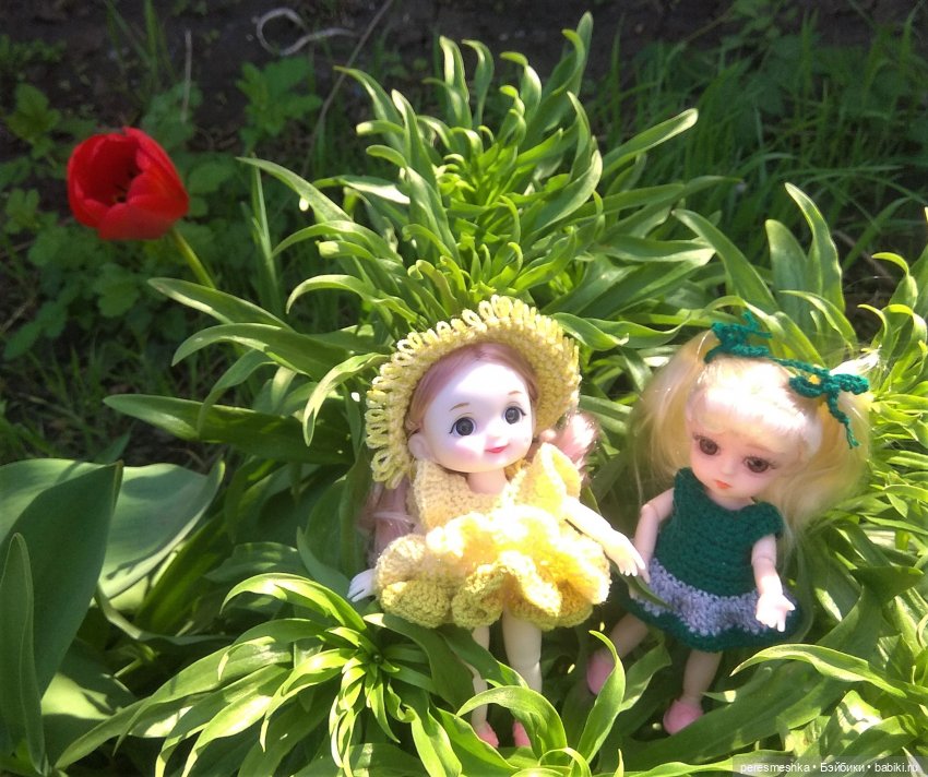 Мир, труд, май! К шашлыкам готовы