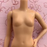 Тело Barbie Fashionistas № 62 (Petit), Mattel