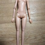 Тело Барби Стоуни Кловер Лейн (2)