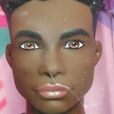 Кен Фашионистас 183