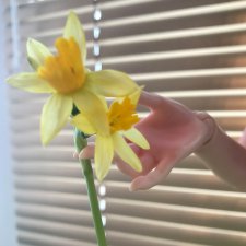 Первый день весны, первые цветы