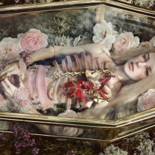 Роза в хрустале