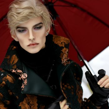 Адмирал Лер и его зимние прогулки