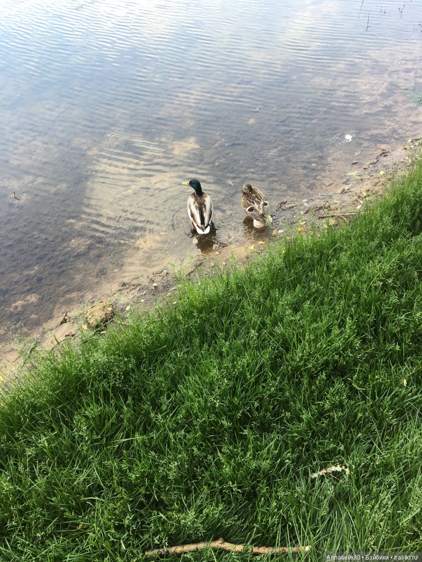 Кастинг на конкурс красоты «Мисс Бейбики 2018». Часть 5 и последняя. Аннабель и Мишель или Давай, ты поверишь в меня, а я -