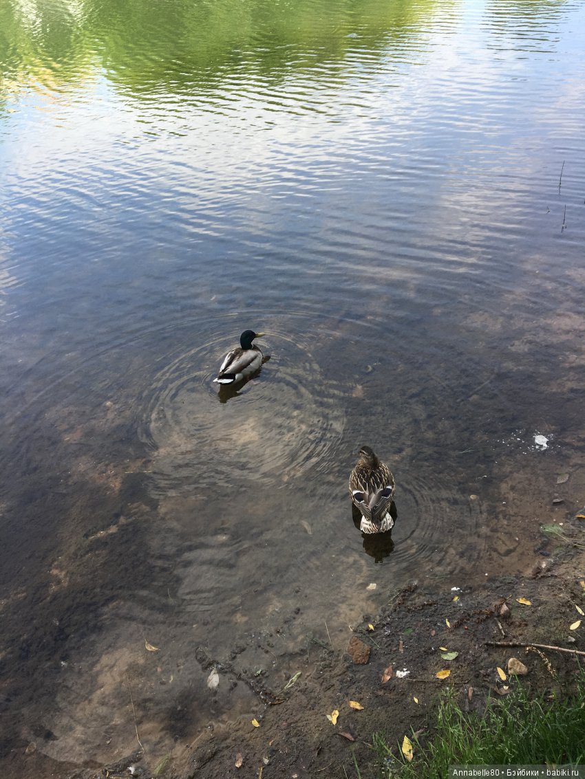 Кастинг на конкурс красоты «Мисс Бейбики 2018». Часть 5 и последняя. Аннабель и Мишель или Давай, ты поверишь в меня, а я -