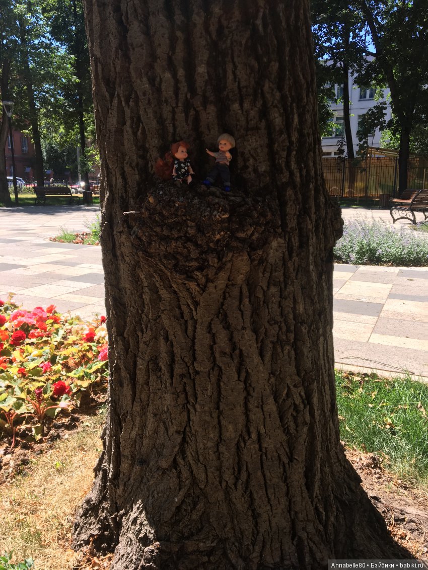 Пикник в старом парке или двойное свидание