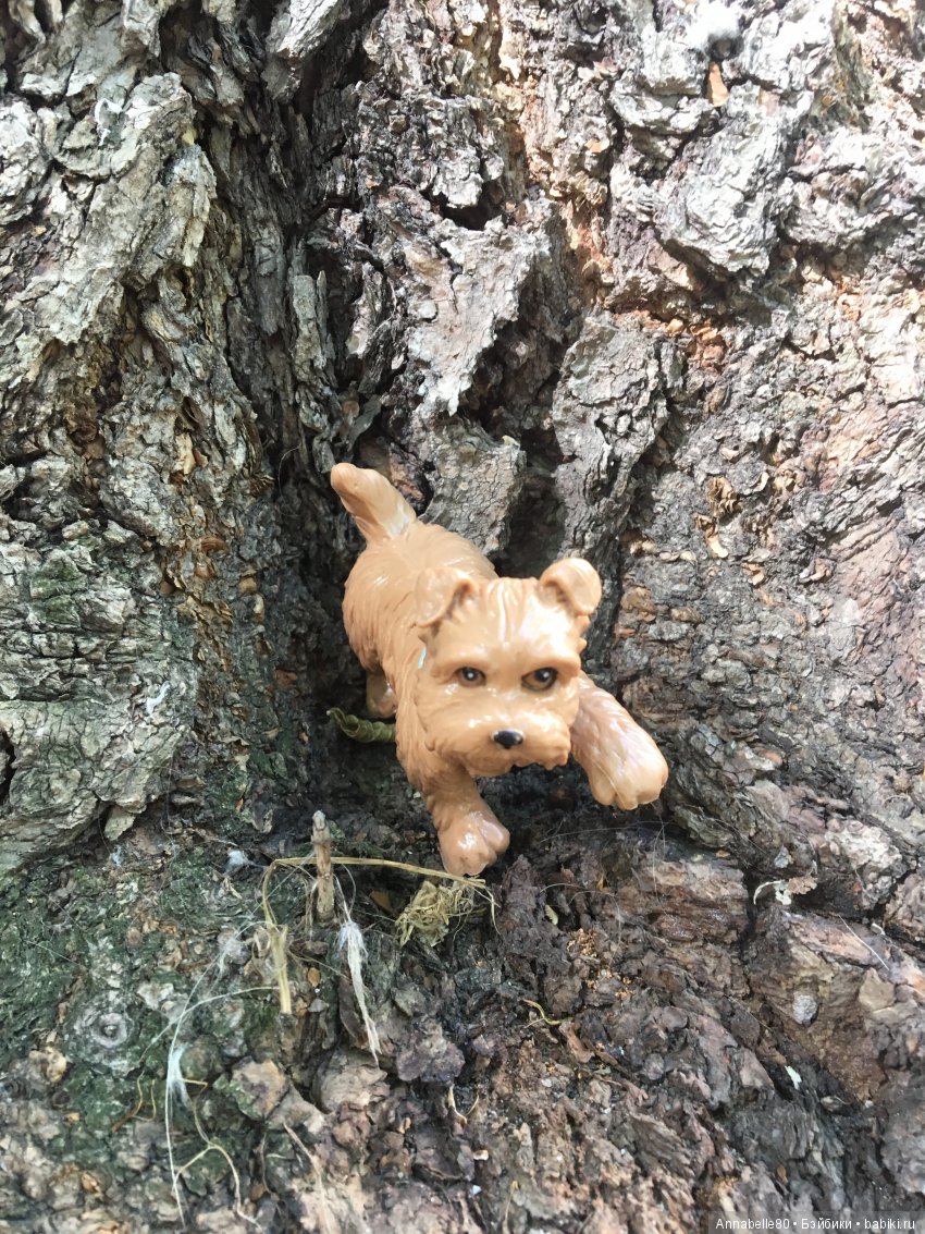 Пикник в старом парке или двойное свидание