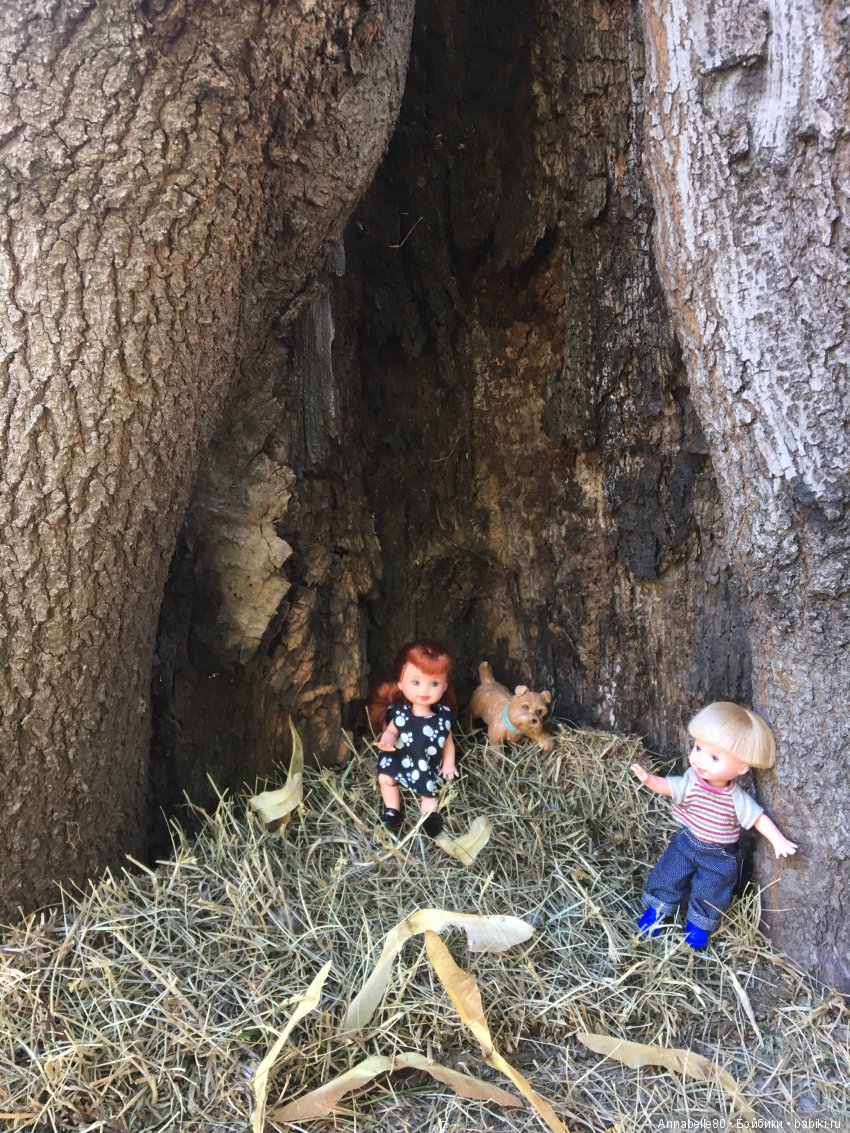 Пикник в старом парке или двойное свидание