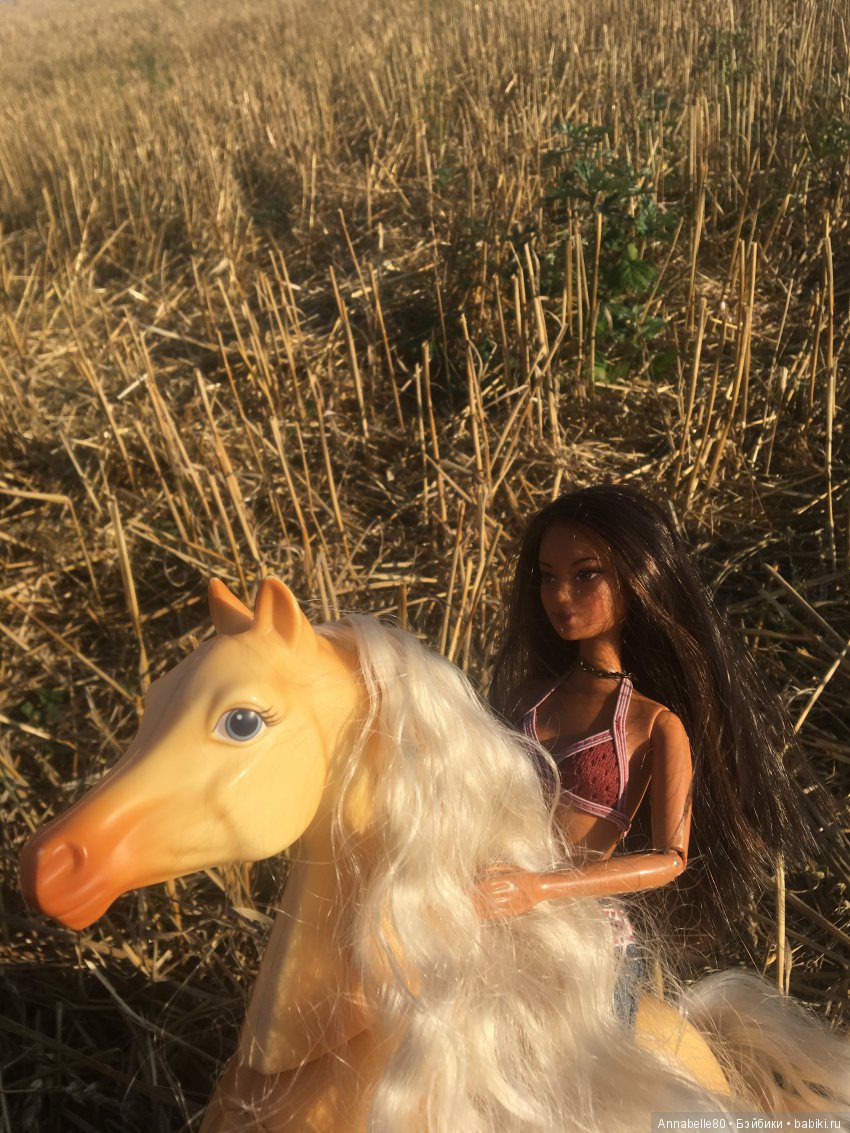 Только мы с конём — Куклы Barbie (Барби): Looks