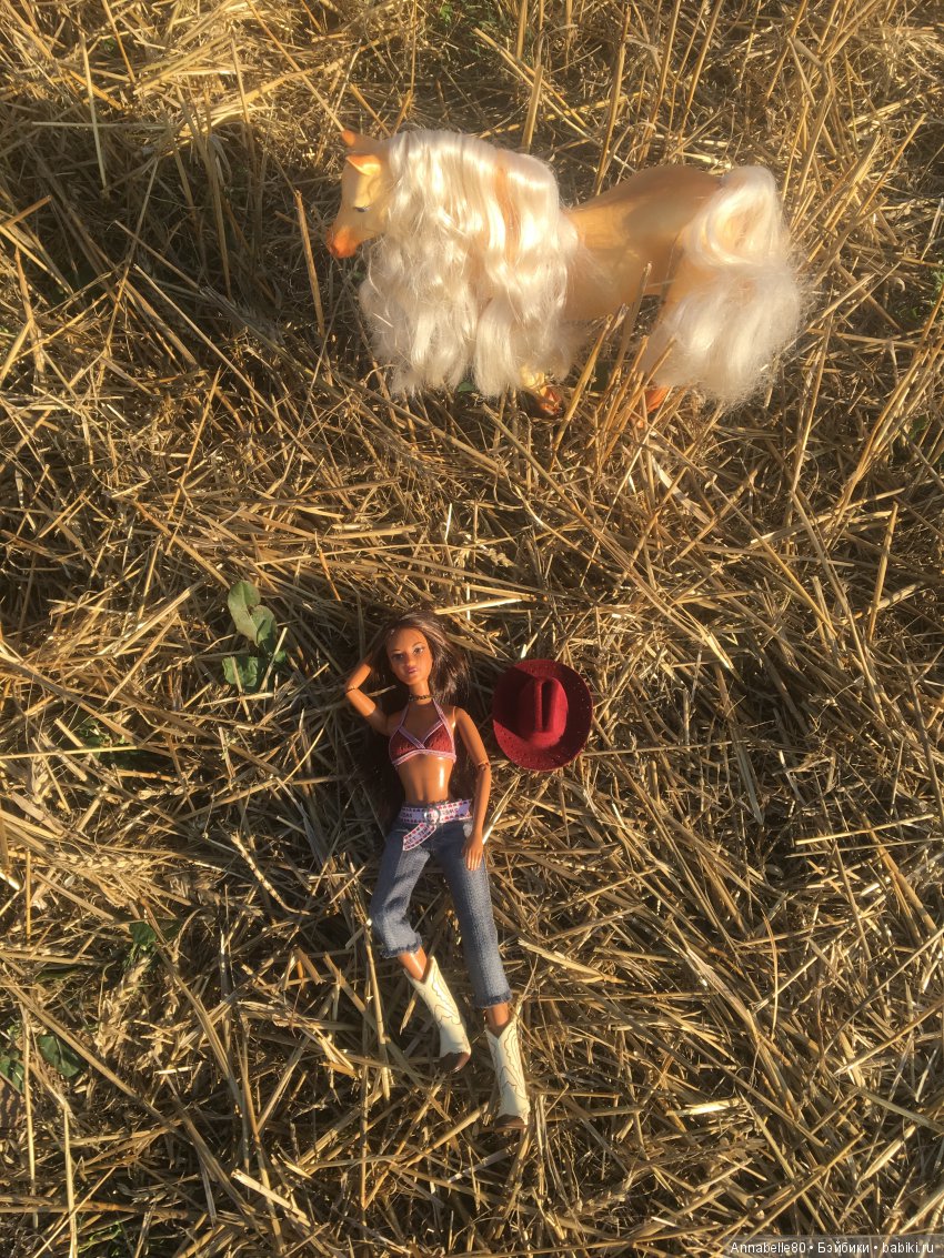 Только мы с конём — Куклы Barbie (Барби): Looks