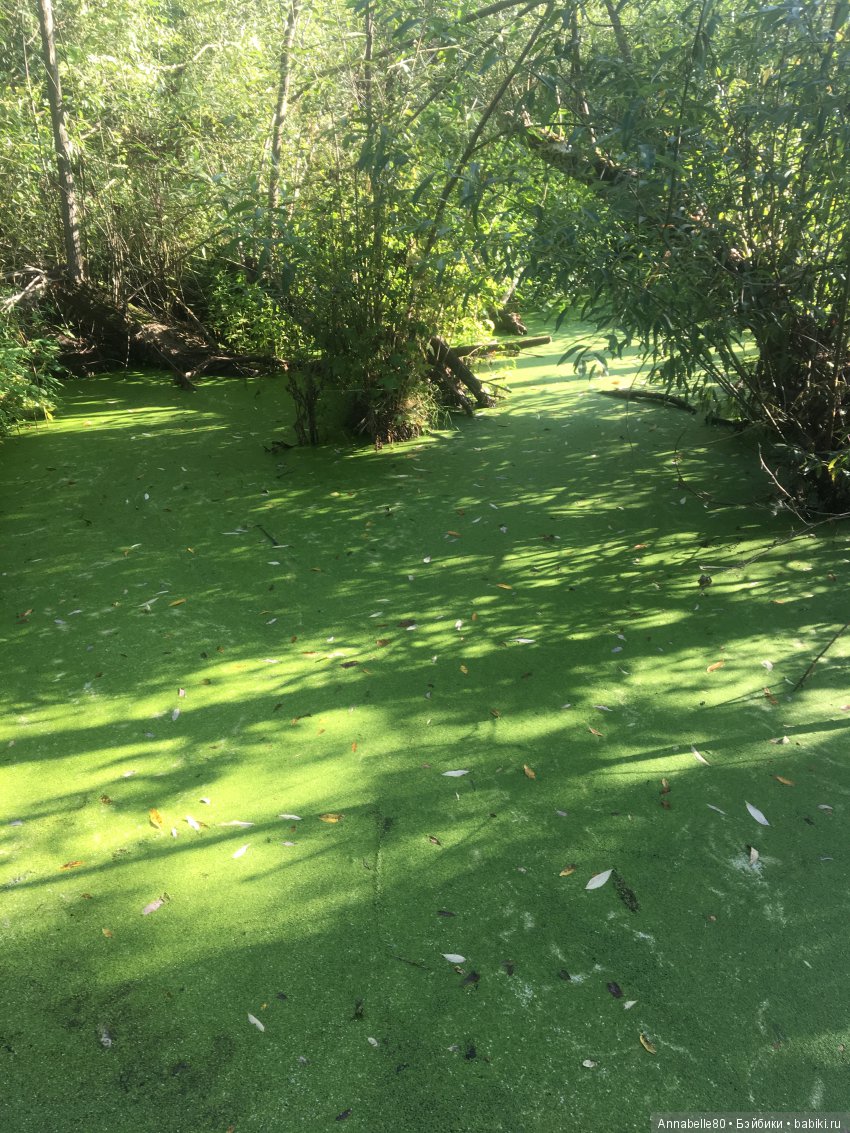 Хранитель. Закат на крыше | Бэйбики Хранитель. Закат на крыше (фото 5)