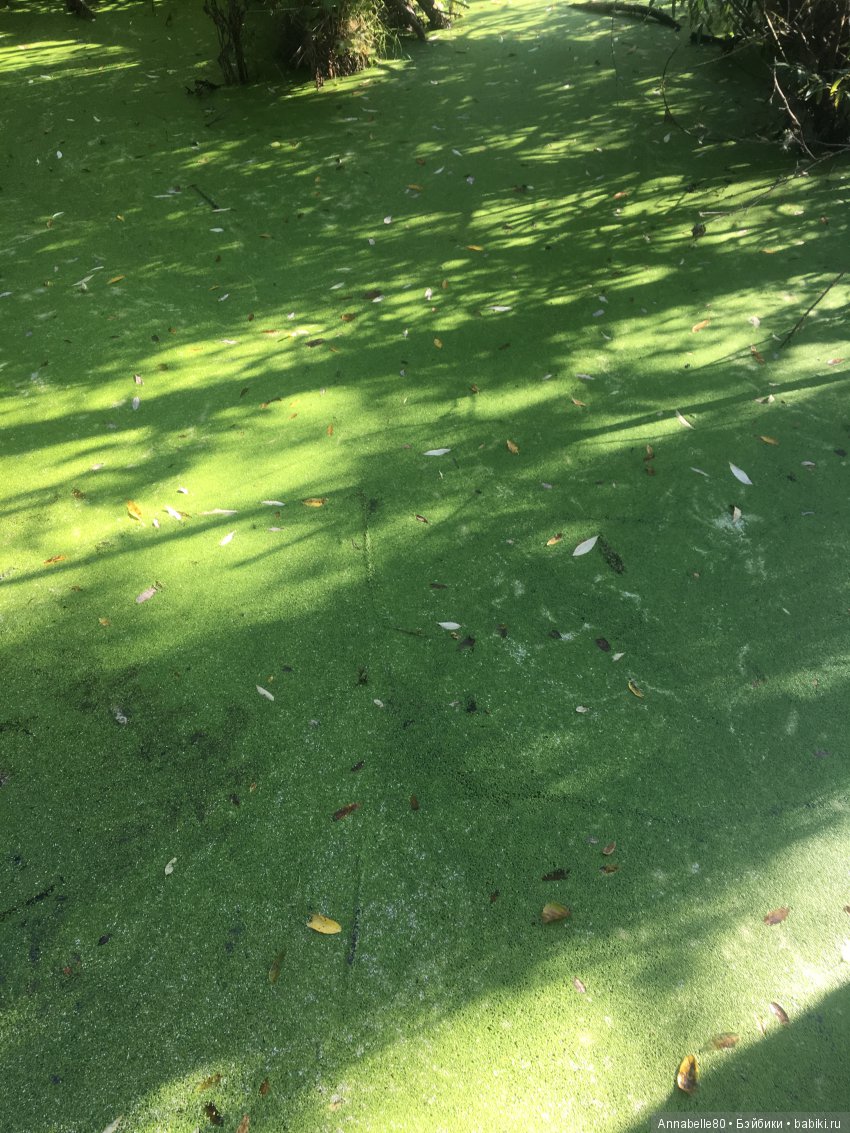 Хранитель. Закат на крыше | Бэйбики Хранитель. Закат на крыше (фото 2)