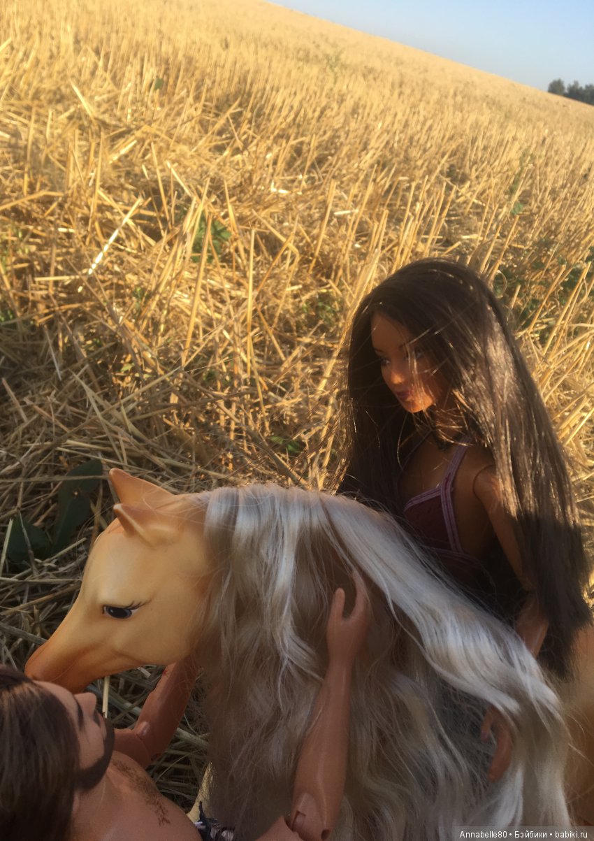 Хранитель. Закат на крыше | Бэйбики Хранитель. Закат на крыше (фото 9)