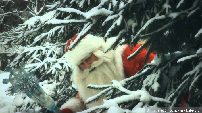 Сказка для черепашки — Новый год и Рождество: праздничные фото кукол