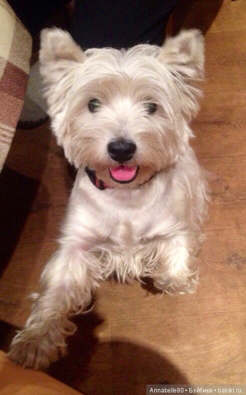 Scottish Barbie 1991 или шотландский топик