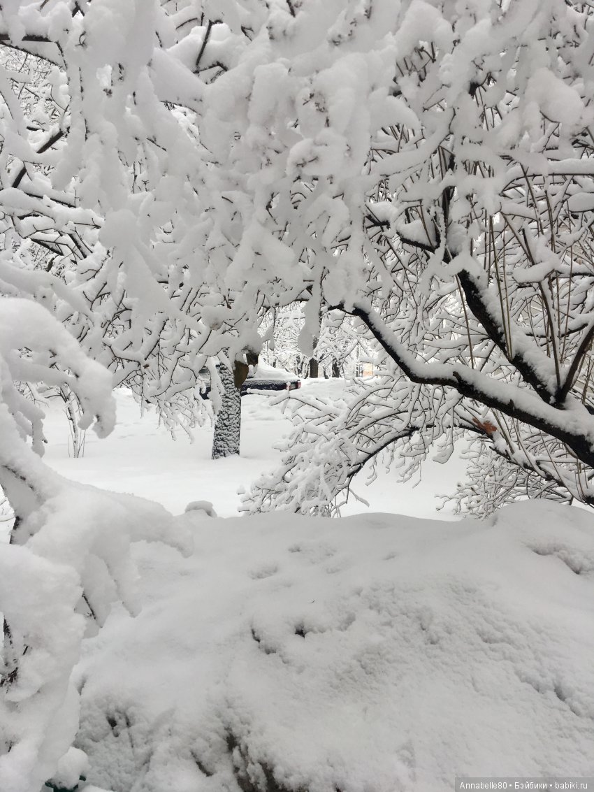 БелоСнежный топик — Болталка и разговоры обо всем: жизнь (фото 8)