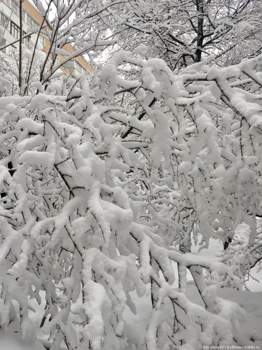 БелоСнежный топик — Болталка и разговоры обо всем: жизнь (фото 7)