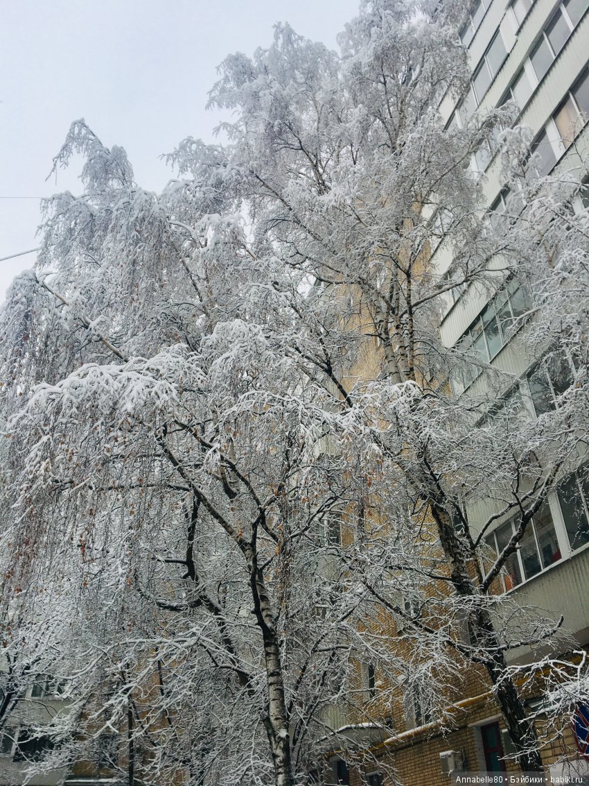 БелоСнежный топик — Болталка и разговоры обо всем: жизнь