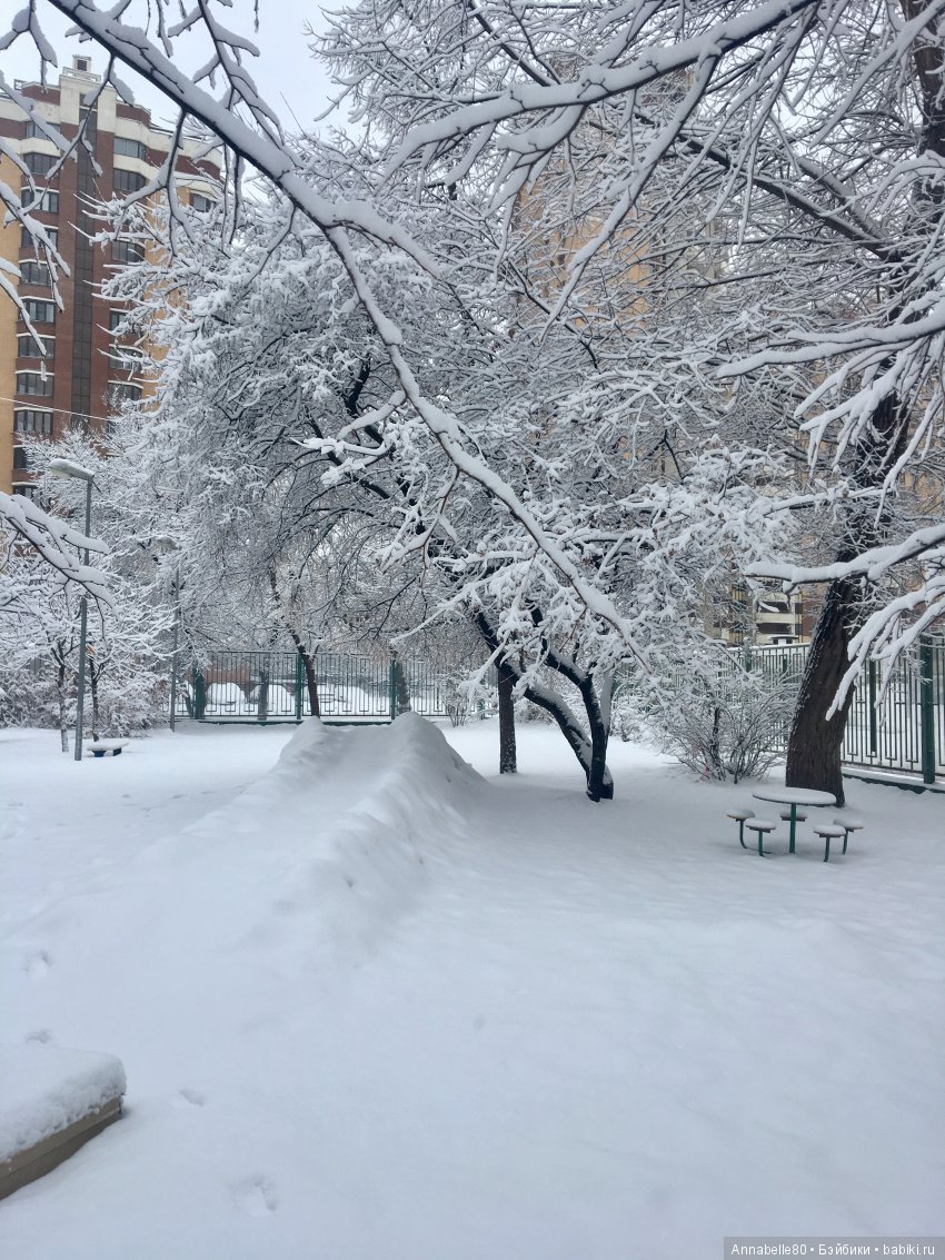 БелоСнежный топик — Болталка и разговоры обо всем: жизнь (фото 3)