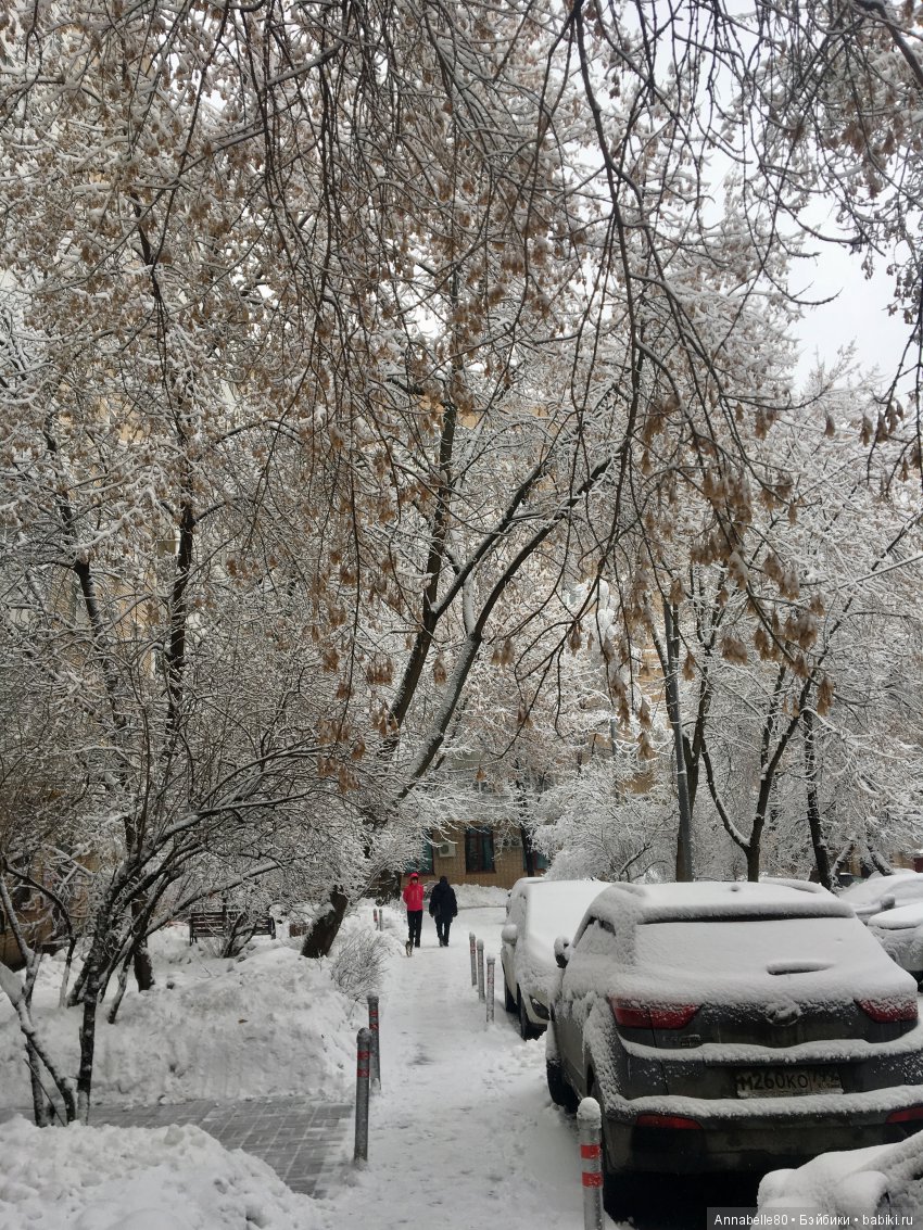 БелоСнежный топик — Болталка и разговоры обо всем: жизнь (фото 10)