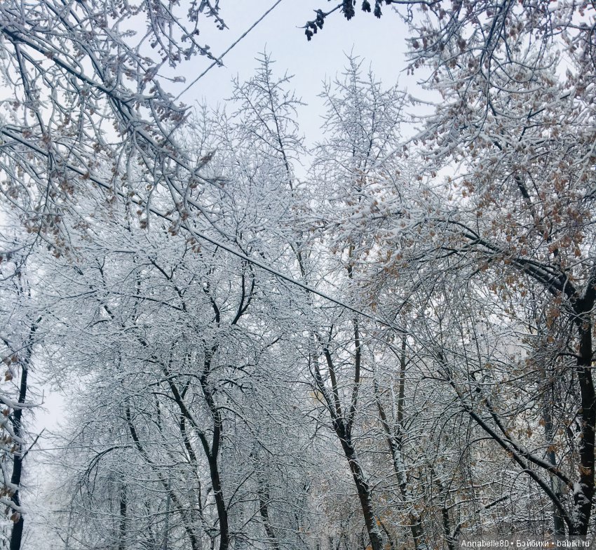 БелоСнежный топик — Болталка и разговоры обо всем: жизнь (фото 2)