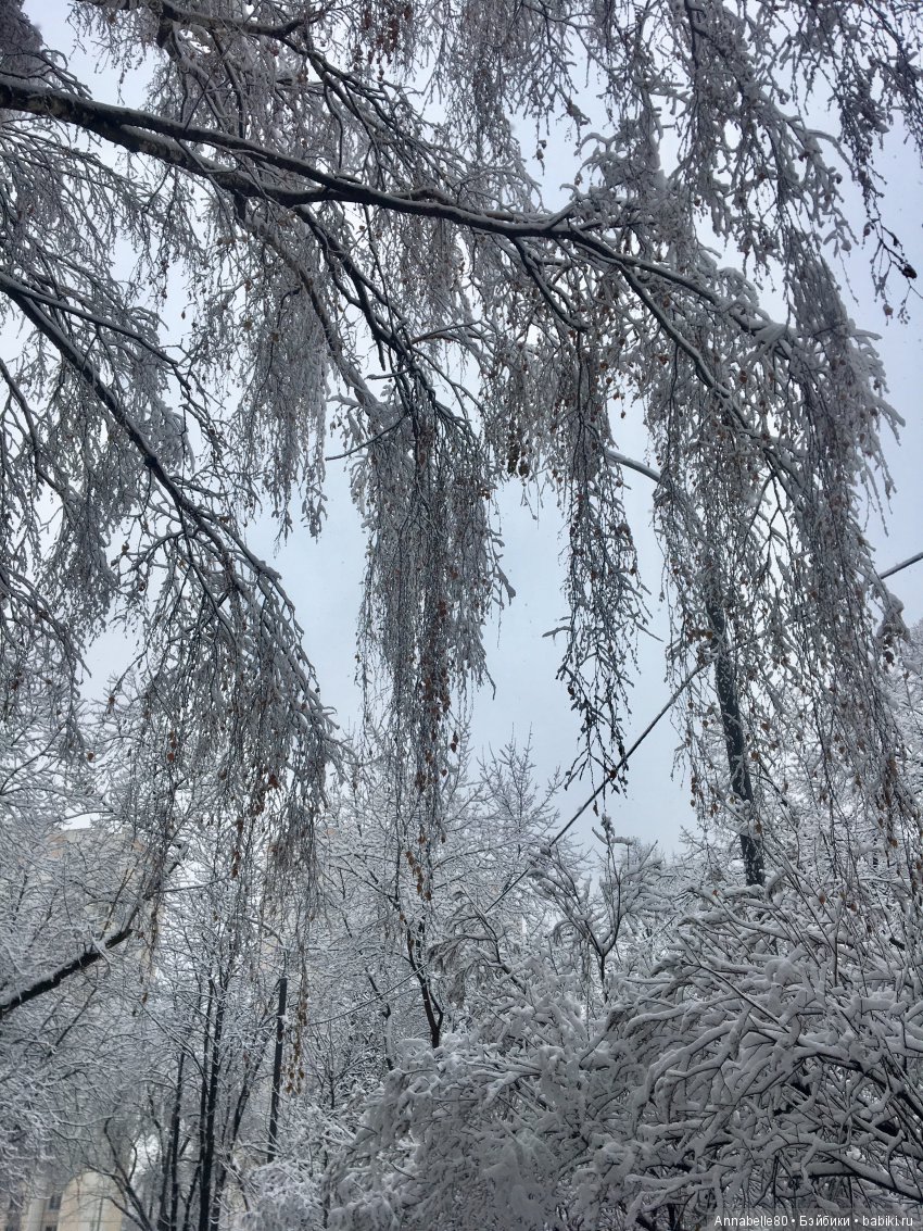 БелоСнежный топик — Болталка и разговоры обо всем: жизнь (фото 5)
