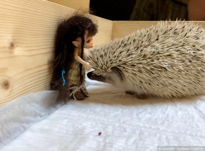 Жили-были ежики или первый подвиг принцессы Каэлианны | Бэйбики Жили-были ежики или первый подвиг принцессы Каэлианны