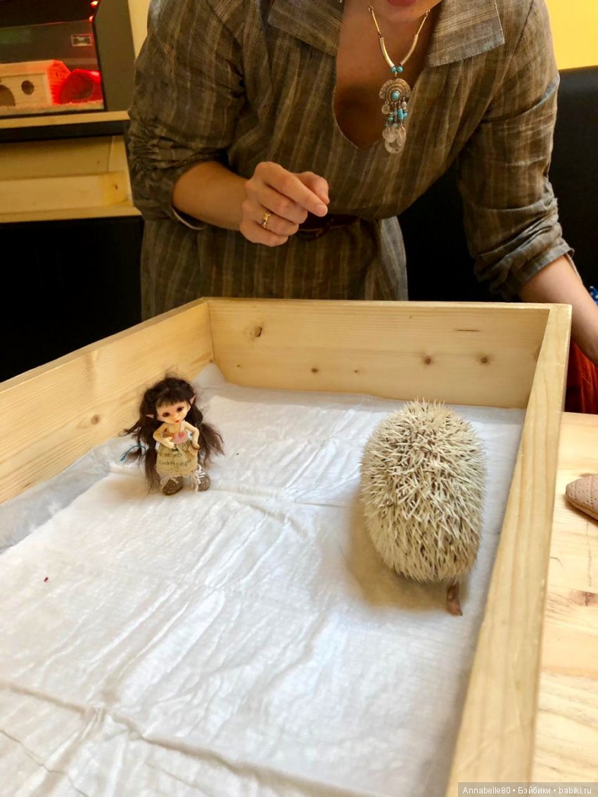 Жили-были ежики или первый подвиг принцессы Каэлианны | Бэйбики Жили-были ежики или первый подвиг принцессы Каэлианны