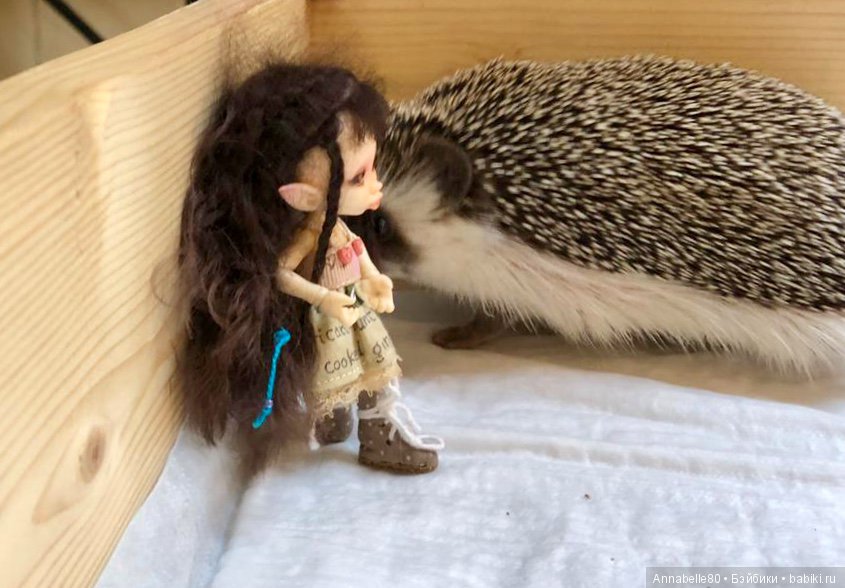 Жили-были ежики или первый подвиг принцессы Каэлианны | Бэйбики Жили-были ежики или первый подвиг принцессы Каэлианны (фото 7)