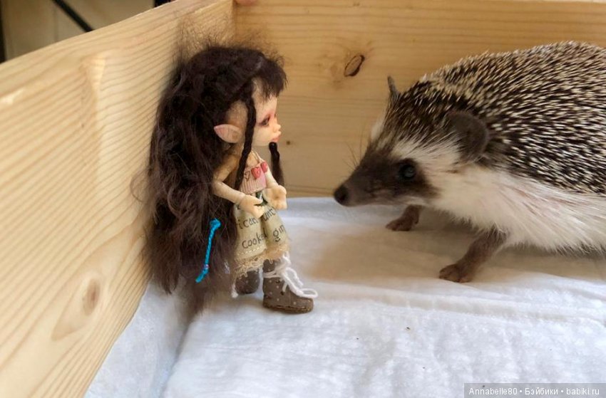 Жили-были ежики или первый подвиг принцессы Каэлианны | Бэйбики Жили-были ежики или первый подвиг принцессы Каэлианны (фото 6)