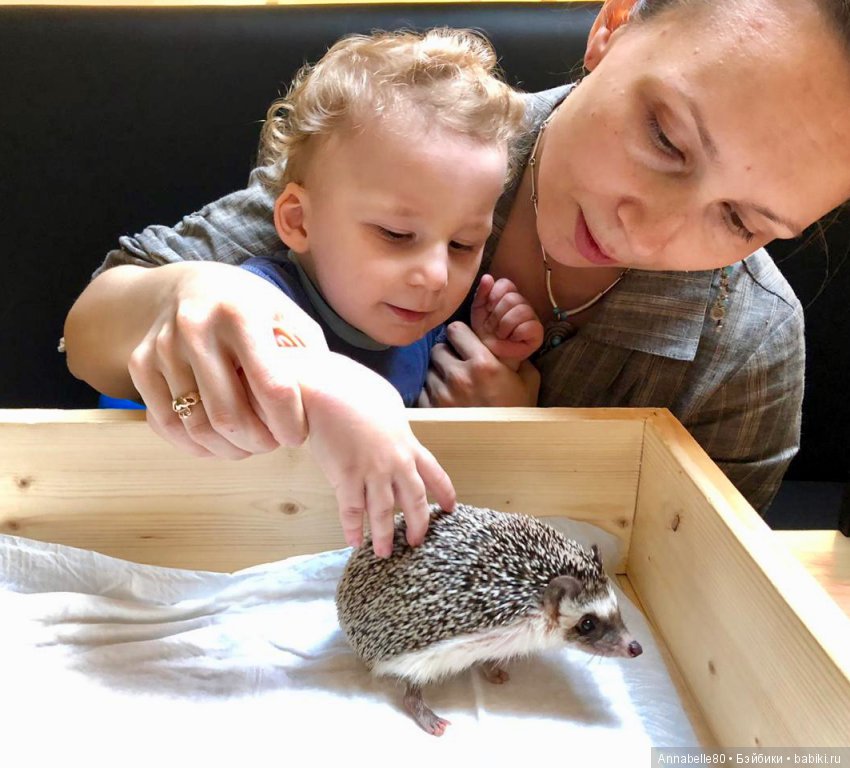 Жили-были ежики или первый подвиг принцессы Каэлианны | Бэйбики Жили-были ежики или первый подвиг принцессы Каэлианны